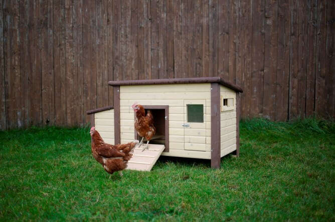 KERBL NoFrost Thermo-Hühnerstall beheizbar